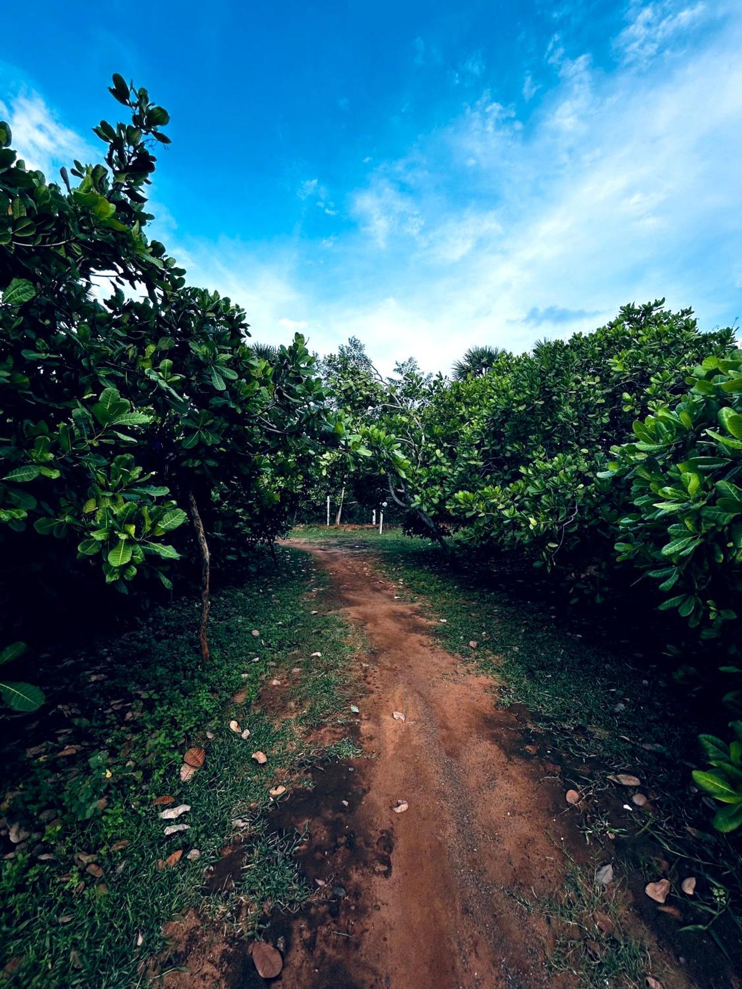 Boomerang Community Auroville Exteriér fotografie