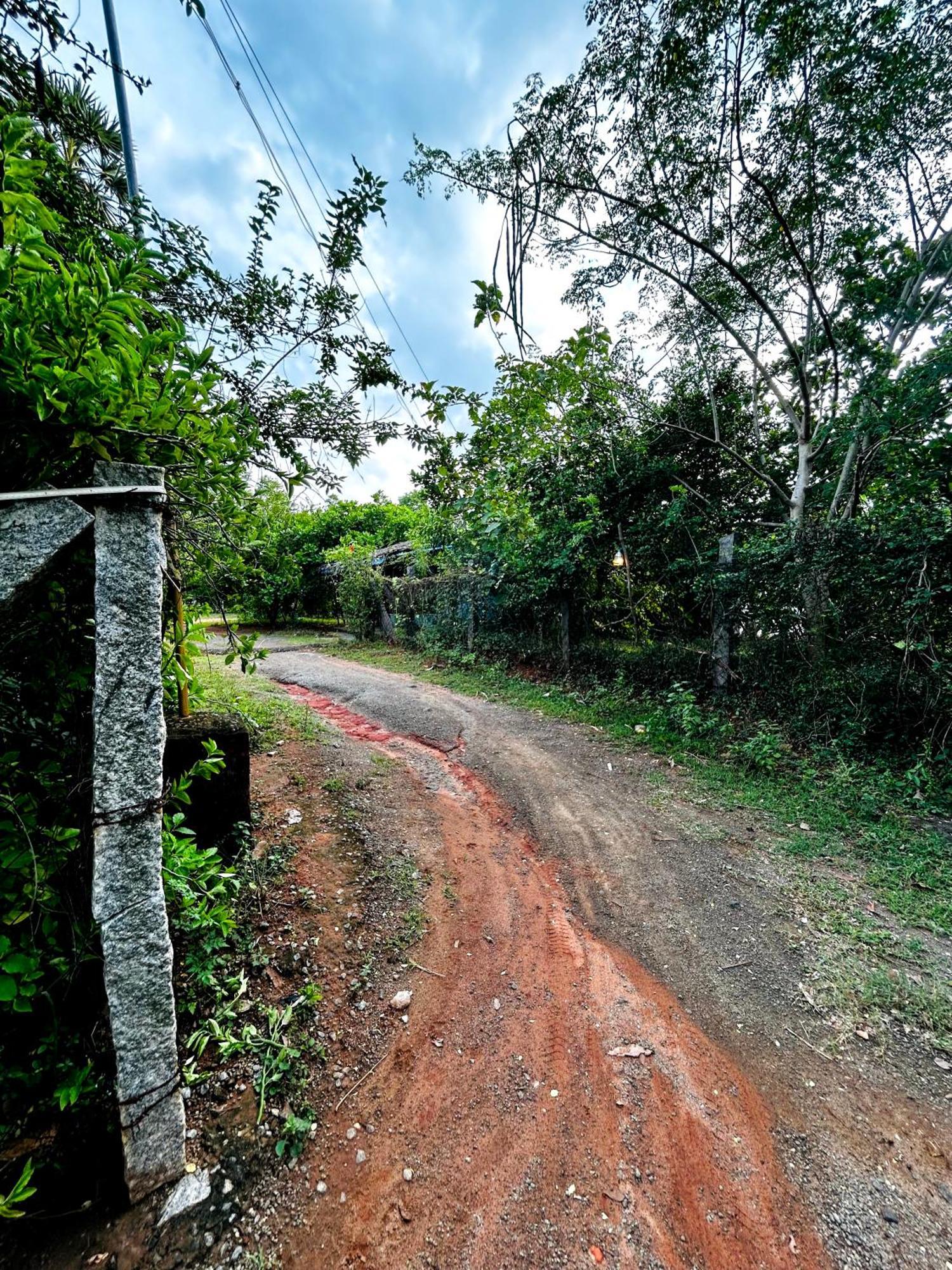 Boomerang Community Auroville Exteriér fotografie