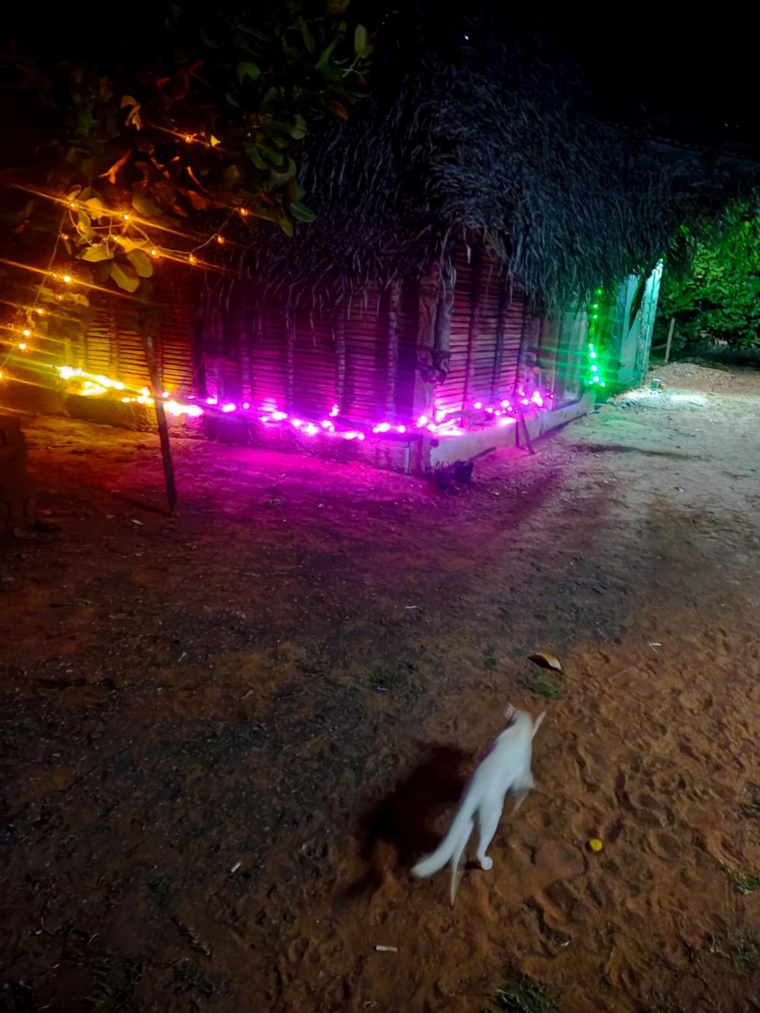 Boomerang Community Auroville Exteriér fotografie
